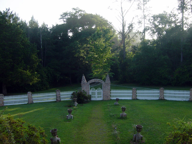 Front Yard